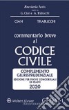 Commentario breve al codice civile. Complemento giurisprudenziale. Edizione per prove concorsuali ed esami libro di Cian Giorgio Trabucchi Alberto