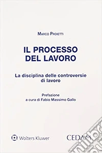 Il processo del lavoro