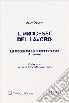 Il processo del lavoro libro di Proietti Marco