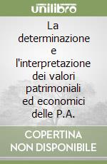 La determinazione e l'interpretazione dei valori patrimoniali ed economici delle P.A. libro