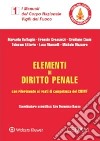 Elementi di Diritto Penale con riferimento ai reati di competenza del CNVVF libro