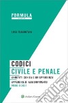 Codici civile e penale. Annotati con la giurisprudenza. Appendice di aggiornamento maggio 2021 libro