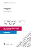 Istituzioni di diritto del lavoro. Rapporti di lavoro e relazioni sindacali nel settore privato libro