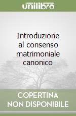 Introduzione al consenso matrimoniale canonico libro