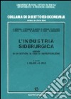 L'industria siderurgica. Analisi di un settore in fase di ristrutturazione libro