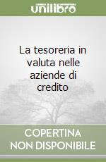 La tesoreria in valuta nelle aziende di credito libro