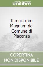 Il registrum Magnum del Comune di Piacenza (3) libro