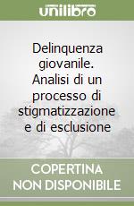 Delinquenza giovanile. Analisi di un processo di stigmatizzazione e di esclusione libro