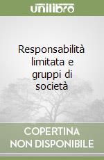 Responsabilità limitata e gruppi di società libro