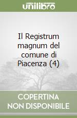 Il Registrum magnum del comune di Piacenza (4) libro