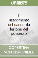 Il risarcimento del danno da lesione del possesso