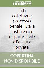 Enti collettivi e processo penale. Dalla costituzione di parte civile all'accusa privata libro