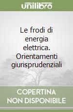 Le frodi di energia elettrica. Orientamenti giurisprudenziali libro