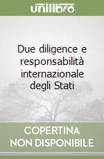 Due diligence e responsabilità internazionale degli Stati libro