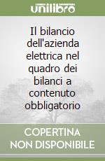 Il bilancio dell'azienda elettrica nel quadro dei bilanci a contenuto obbligatorio