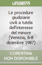 Le procedure giudiziarie civili a tutela dell'interesse del minore (Venezia, 6-8 dicembre 1987)