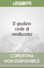 Il giudizio civile di rendiconto libro