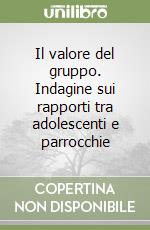 Il valore del gruppo. Indagine sui rapporti tra adolescenti e parrocchie libro