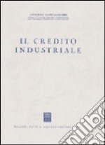 Il credito industriale libro