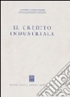 Il credito industriale libro