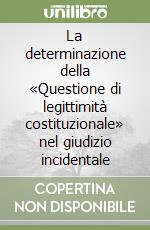 La determinazione della «Questione di legittimità costituzionale» nel giudizio incidentale libro