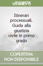 Itinerari processuali. Guida alla giustizia civile in primo grado libro