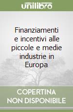 Finanziamenti e incentivi alle piccole e medie industrie in Europa