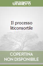 Il processo liticonsortile (1) libro