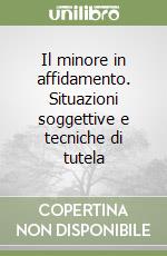 Il minore in affidamento. Situazioni soggettive e tecniche di tutela