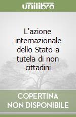 L'azione internazionale dello Stato a tutela di non cittadini libro