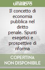 Il concetto di economia pubblica nel diritto penale. Spunti esegetici e prospettive di riforma libro