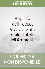 Atipicità dell'illecito. Vol. 3: Diritti reali. Tutela dell'Ambiente libro