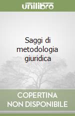 Saggi di metodologia giuridica libro