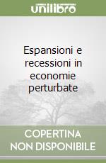 Espansioni e recessioni in economie perturbate libro