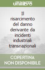 Il risarcimento del danno derivante da incidenti industriali transnazionali