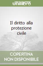 Il diritto alla protezione civile libro