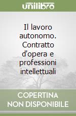 Il lavoro autonomo. Contratto d'opera e professioni intellettuali libro