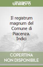 Il registrum magnum del Comune di Piacenza. Indici libro