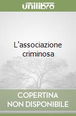 L'associazione criminosa