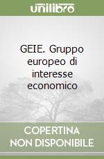 GEIE. Gruppo europeo di interesse economico