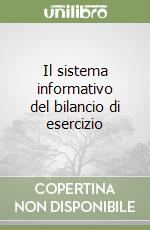 Il sistema informativo del bilancio di esercizio