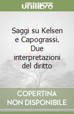 Saggi su Kelsen e Capograssi. Due interpretazioni del diritto libro