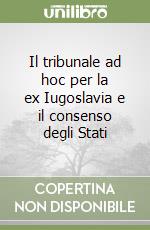 Il tribunale ad hoc per la ex Iugoslavia e il consenso degli Stati libro