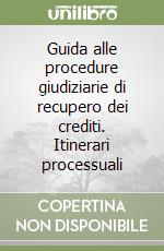 Guida alle procedure giudiziarie di recupero dei crediti. Itinerari processuali libro