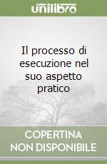 Il processo di esecuzione nel suo aspetto pratico libro