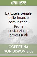 La tutela penale delle finanze comunitarie. Profili sostanziali e processuali libro