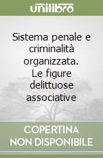 Sistema penale e criminalità organizzata. Le figure delittuose associative libro