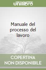 Manuale del processo del lavoro libro