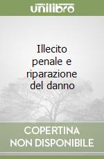 Illecito penale e riparazione del danno libro