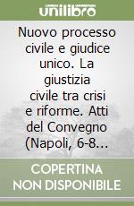 Nuovo processo civile e giudice unico. La giustizia civile tra crisi e riforme. Atti del Convegno (Napoli, 6-8 novembre 1998) libro